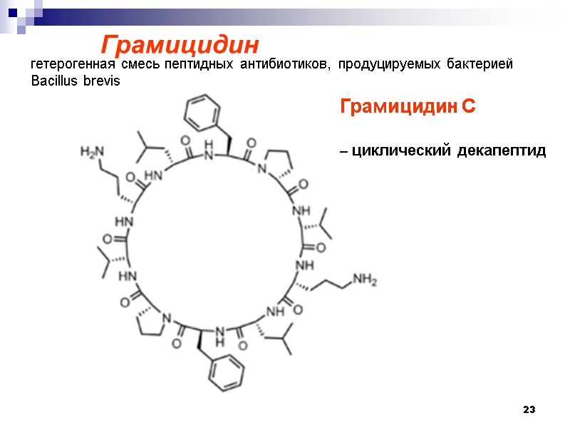 23        Грамицидин  гетерогенная смесь пептидных антибиотиков,